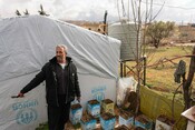 Lebanon’s struggle to feed its people