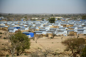 Shelter settlement in Metche Camp